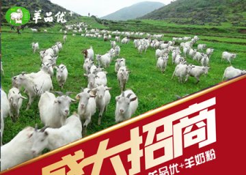 中老年羊奶粉加盟，代理費用與市場前景——羊品優羊奶粉引領未來